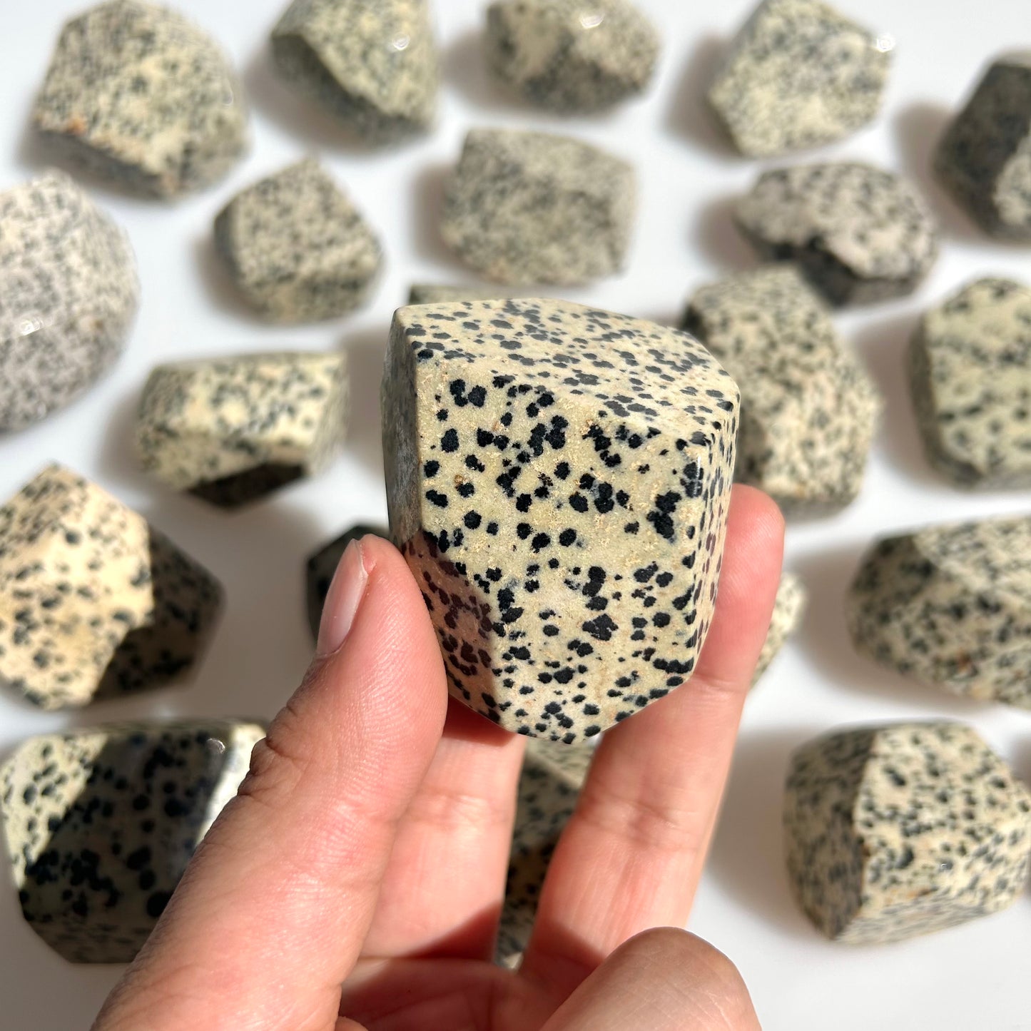 Dalmatian Jasper Crystal Freeform
