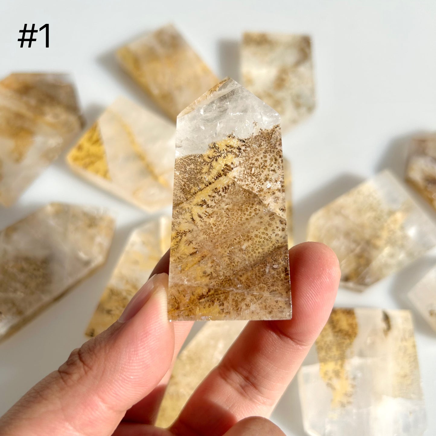 Dendritic Quartz With Golden Healer Towers