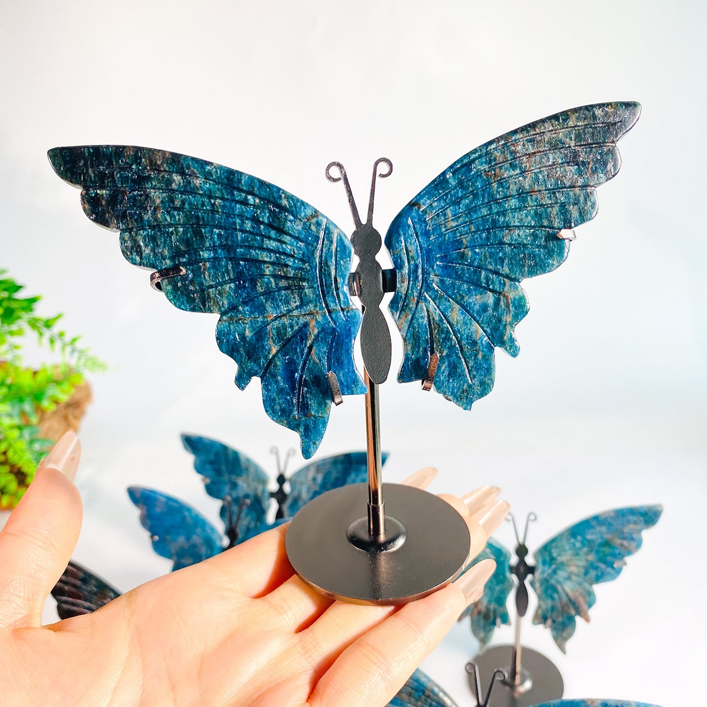 Apatite Butterfly Wings