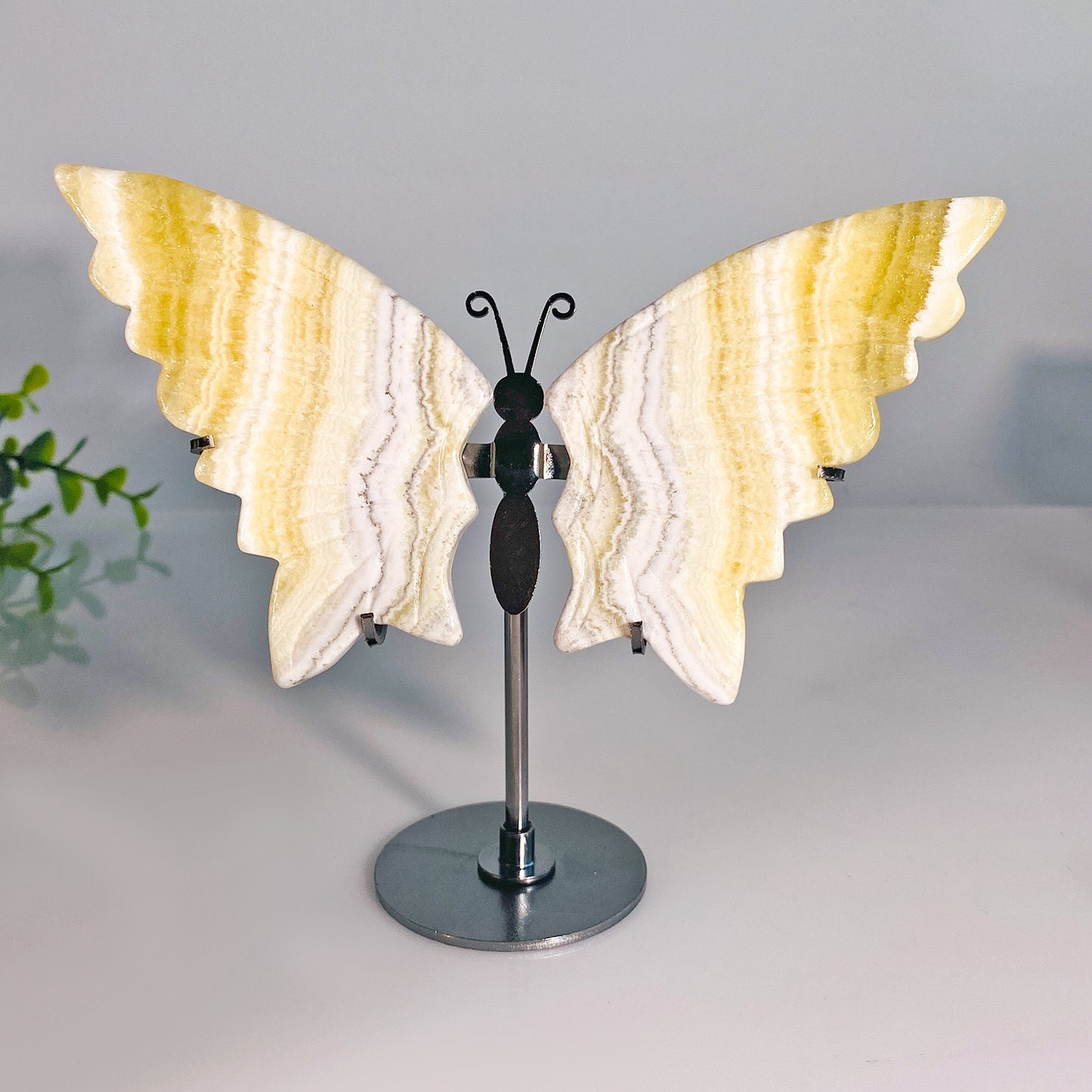 Yellow Calcite Butterfly Wings