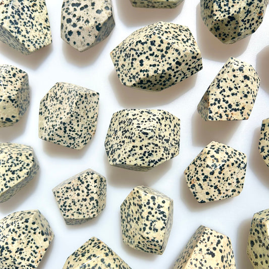 Dalmatian Jasper Crystal Freeform