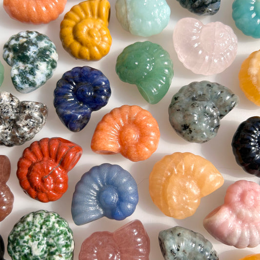 Crystal Conch Carvings
